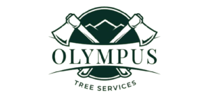 cropped b1bb7238 a044 49d1 b302 af52f81e1ddb removebg preview 1.png