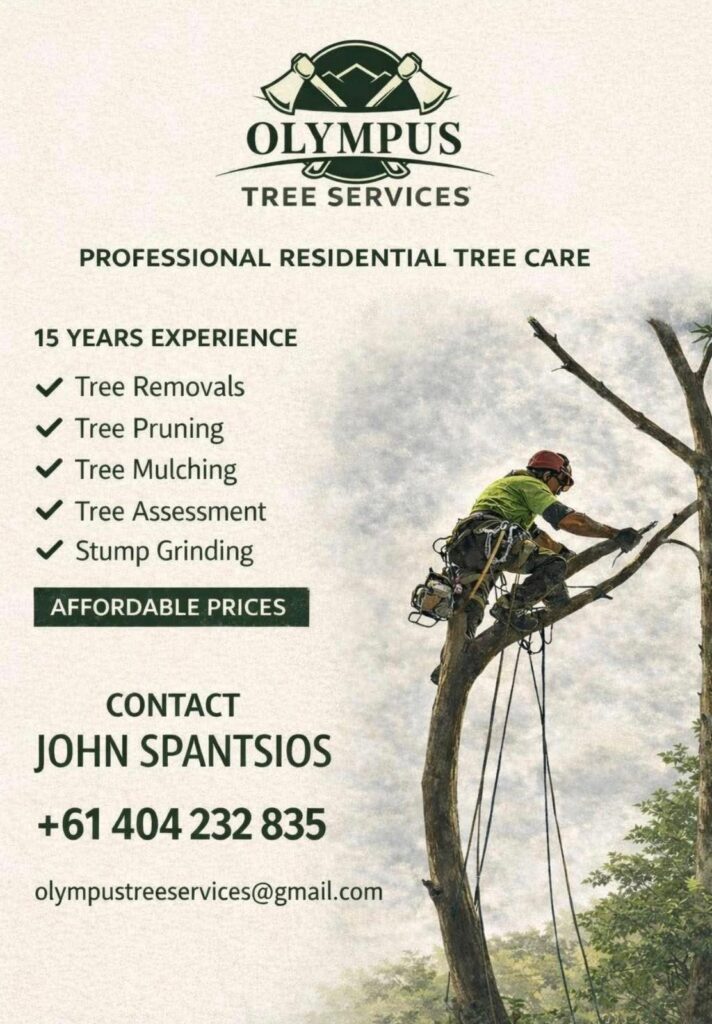 f509b0dd 795a 482c 8f8d a3567754253a